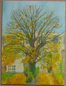 Tree 6