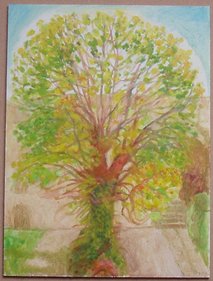 Tree 9