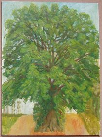 Tree 12