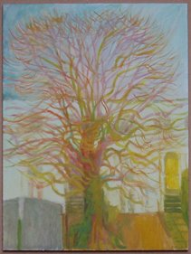 Tree 20