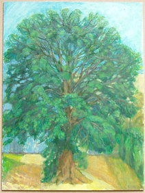 Tree 13
