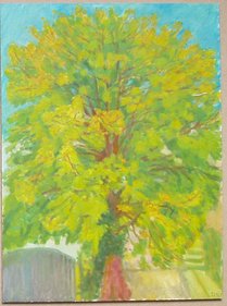 Tree 16