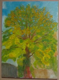 Tree 17