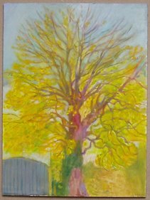 Tree 18