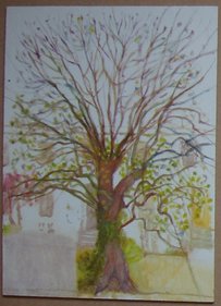 Tree 21