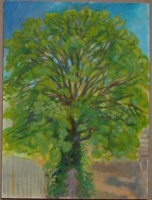 Tree 23