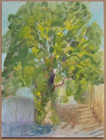 Tree 25