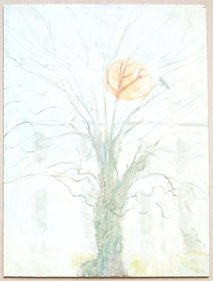Tree 35