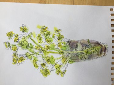 Wild Flower Drawing 5